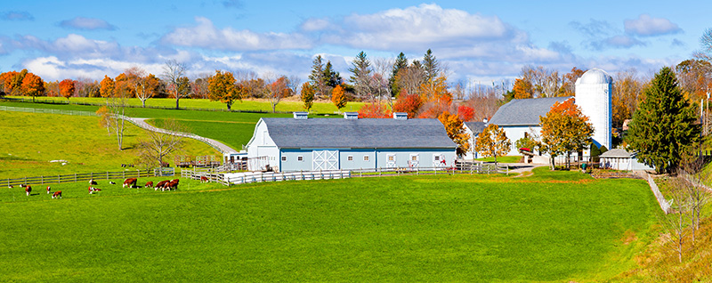 Fazendas à Venda de Valor Histórico e Luxo na Disney World